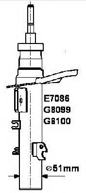 Alternativ bild 0 för Fjäderben Monroe