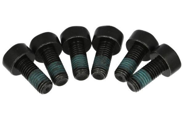 Alternativ bild 0 för Skruvsats, svänghjul