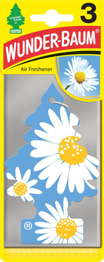 Doftgran Daisy Flower