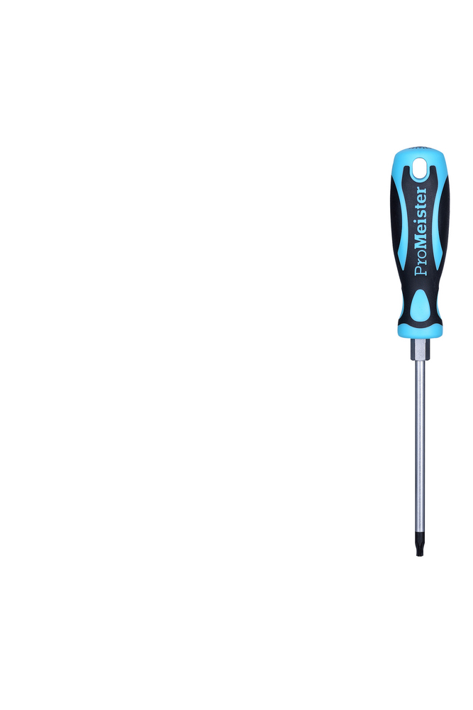 Skruvmejsel Torx T25 100mm ProMeister