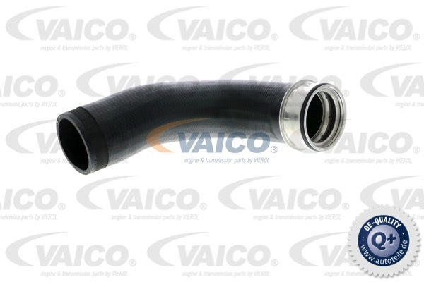 Alternativ bild 0 för Turboslang