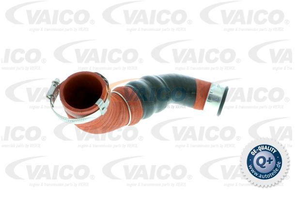 Alternativ bild 0 för Turboslang