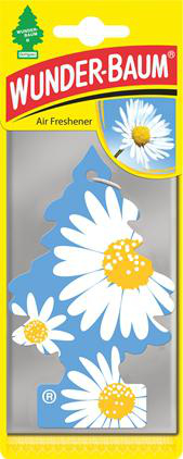 Doftgran Daisy Flower Wunder-Baum
