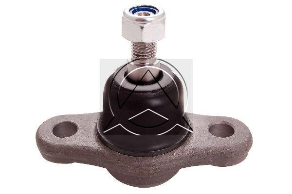 Alternativ bild 0 för Spindelled Delphi