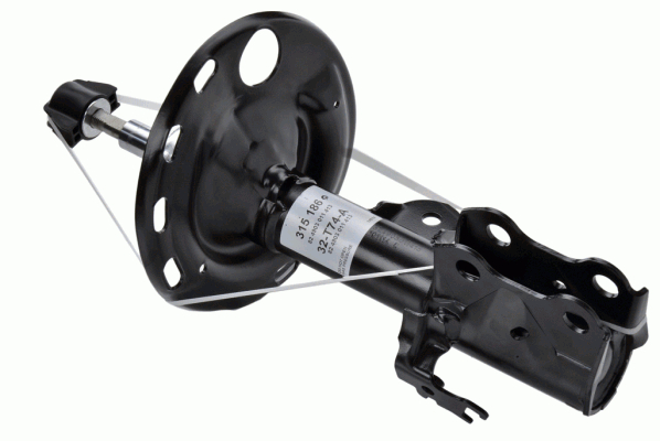 Alternativ bild 0 för Fjäderben Sachs