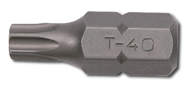 Bits 10mm Torx 30mm Lång  T40