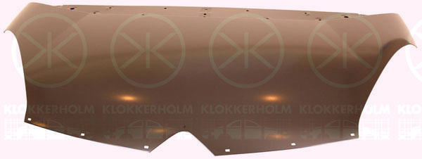 Motorhuv