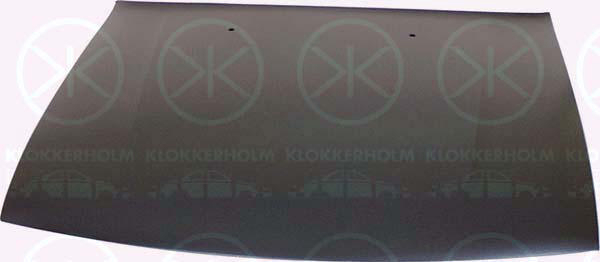 Motorhuv
