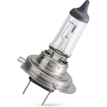 Gl&ouml;dlampa H7 55W 12 V 1-pack